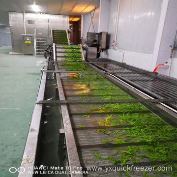 Industrial Fluidized Flow Bed Freezer For Vegetable Process